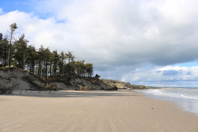 Beaches