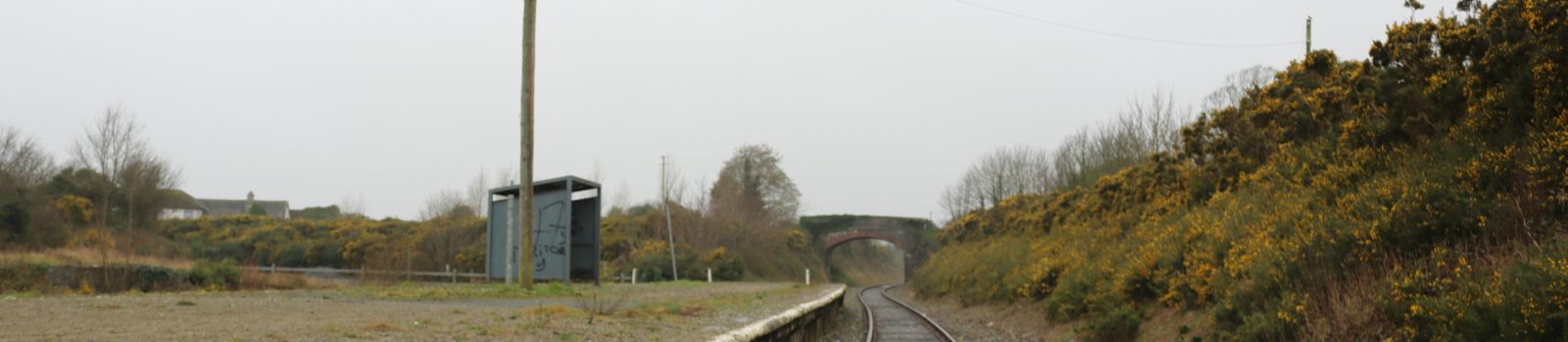 Ballycullane Railway Station