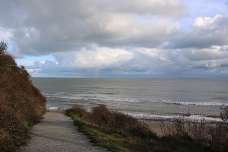 Ballynamona