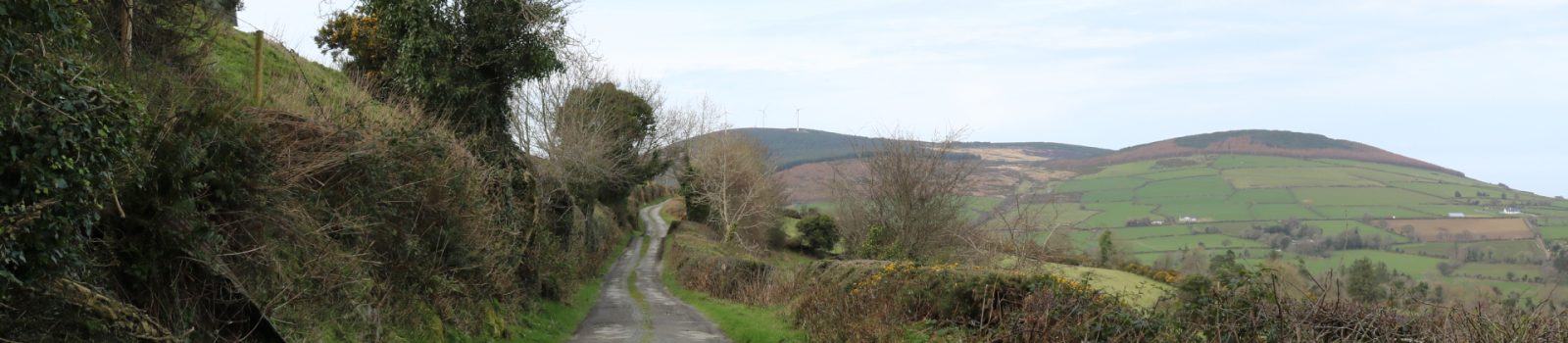 Black Rock Mountain, Blackstairs