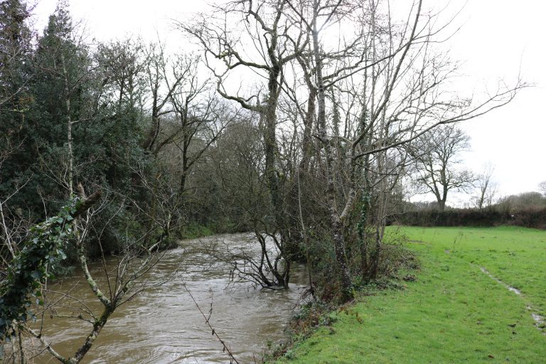 Boro River, Enniscorthy