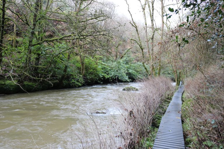 Boro River, Soldiers Hole, Enniscorthy