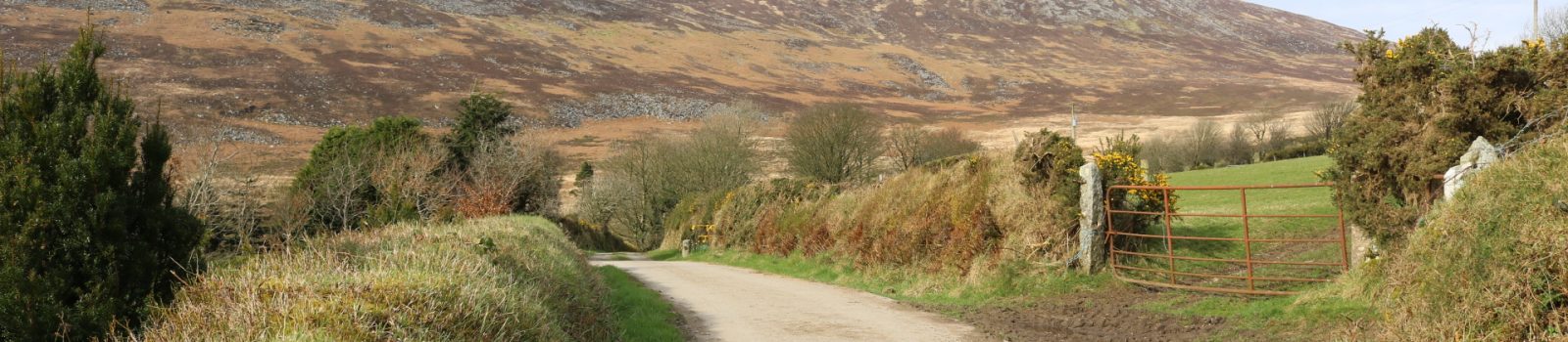 Corrageen, Blackstairs Mountains