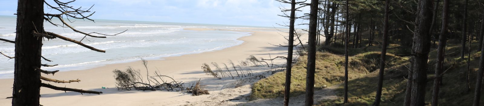 Ravens Point Curracloe