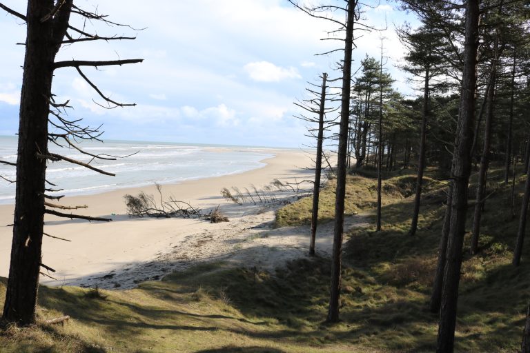 Ravens Point Curracloe