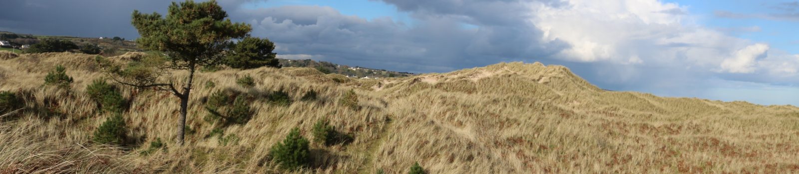 Curracloe Dunes White Gap