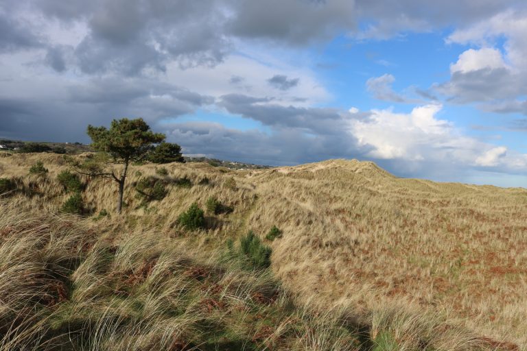 Curracloe Dunes White Gap