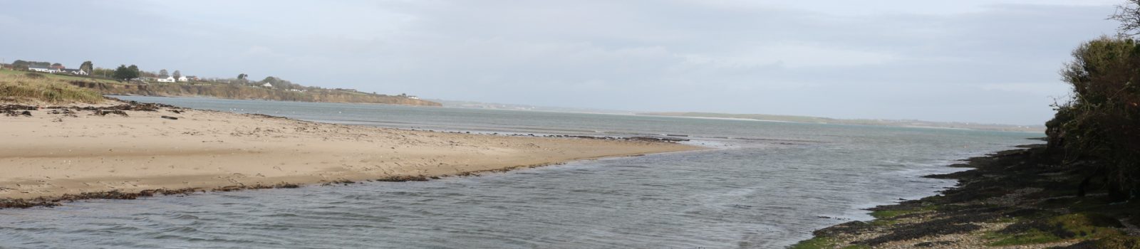 Fethard Bay, Fethard-on-Sea