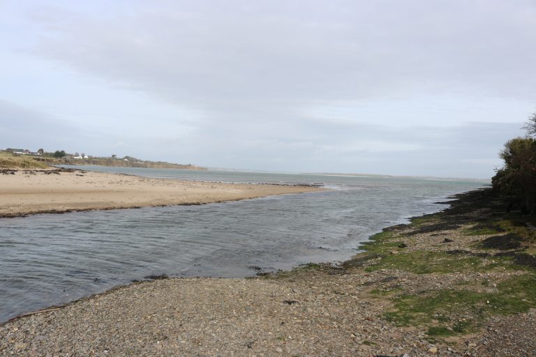 Fethard Bay, Fethard-on-Sea