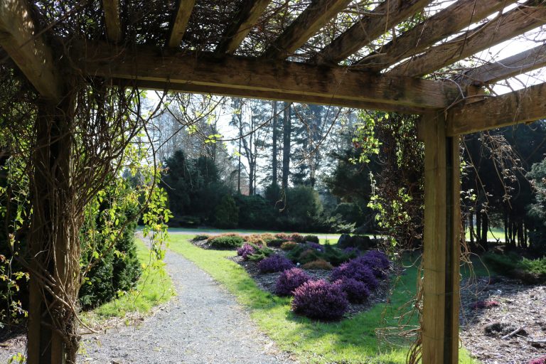 JFK Arboretum New Ross