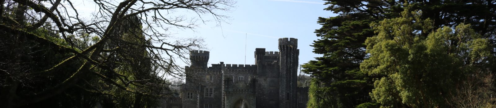 Johnstown Castle