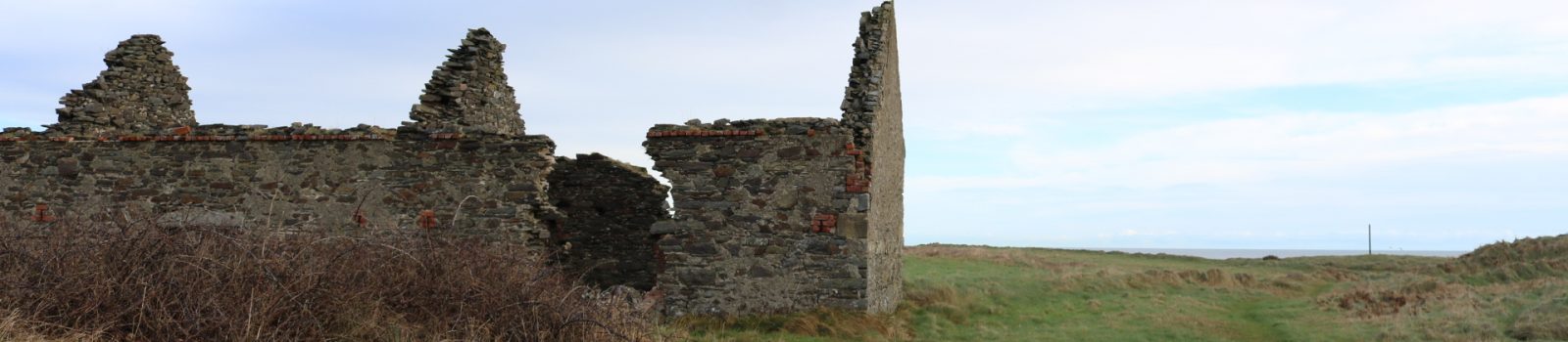 Kilmichael Head Ruins