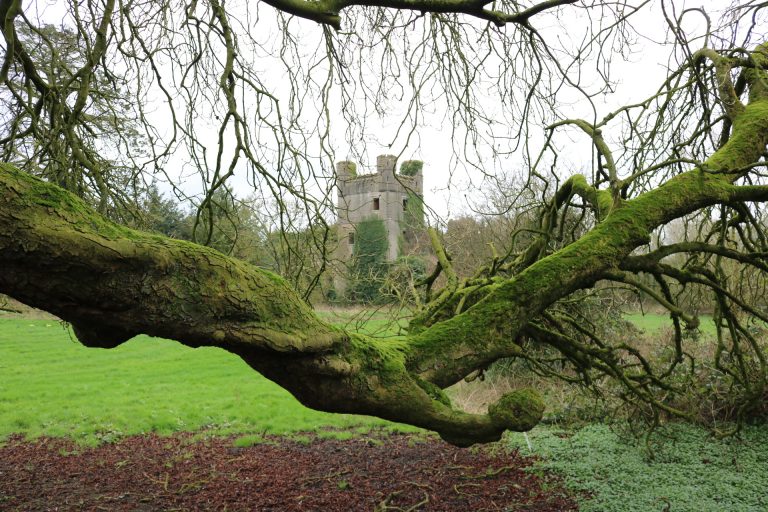 Macmine Castle