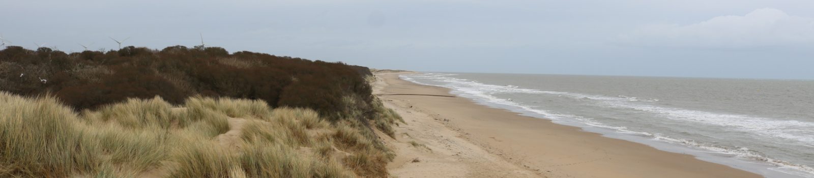 Morriscastle Beach, Kilmuckridge