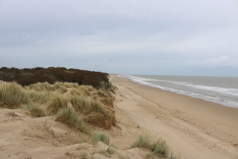Morriscastle Beach, Kilmuckridge