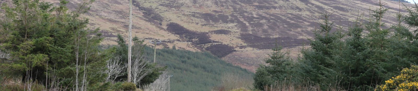 Mount Leinster, Ballycrystal, Blackstairs Mountains