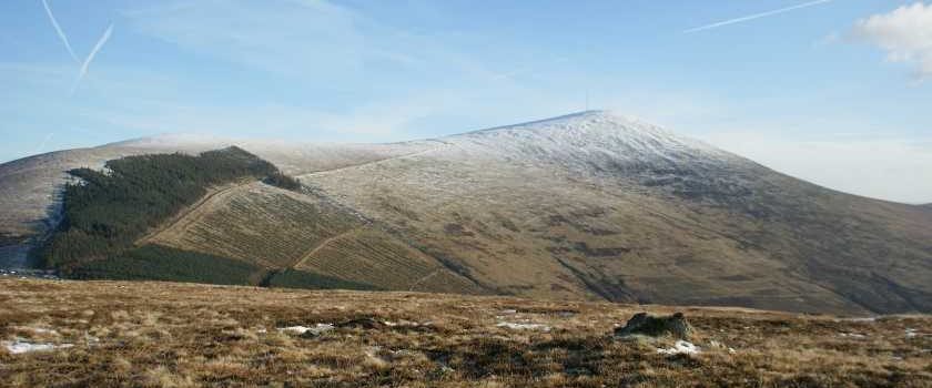 Mount Leinster