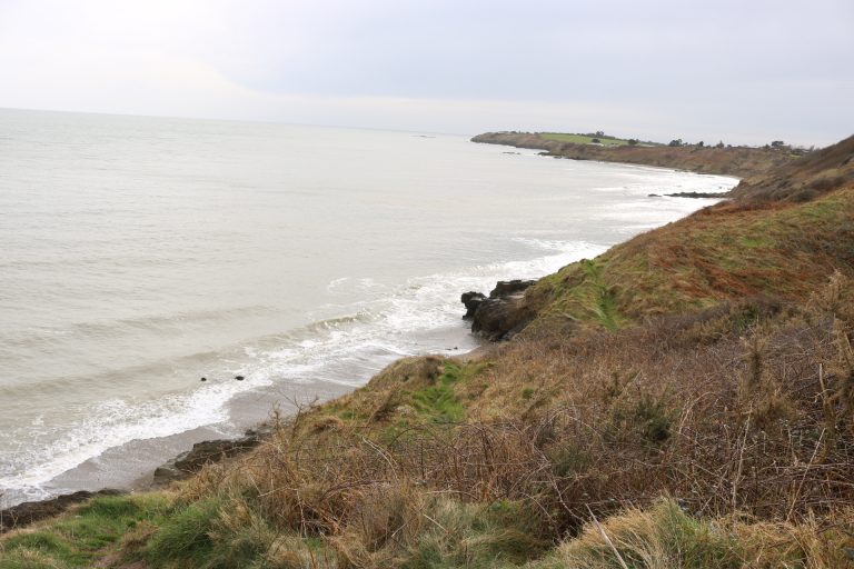 Polshone Head, Courtown