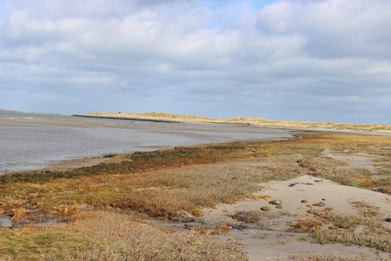 Rosslare Back Strand