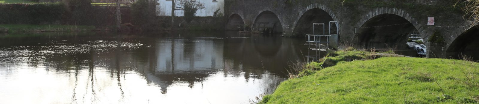 Slaney River, Clohamon