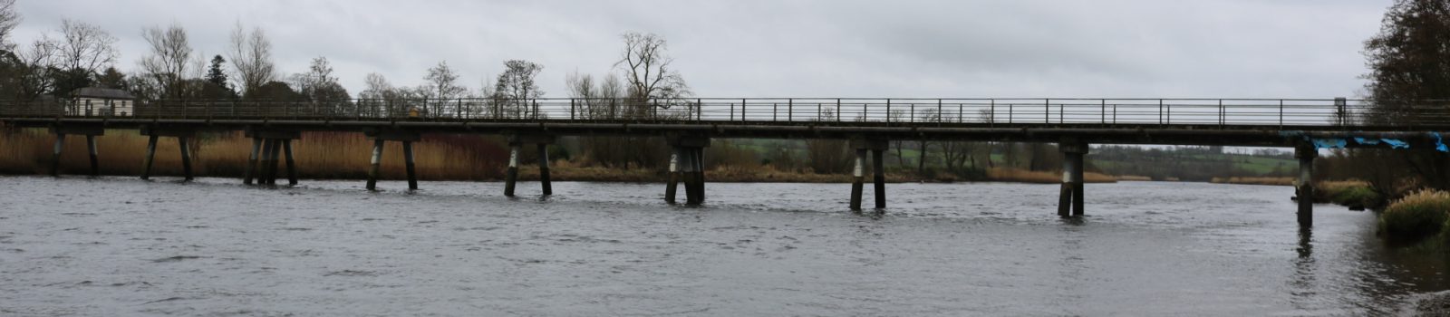 Slaney River, Edermine