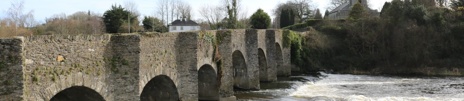 Slaney River, Ballycarney