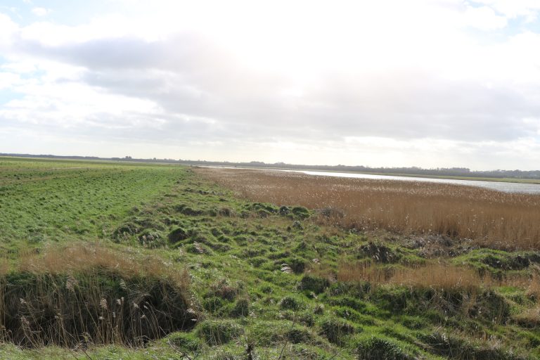 South Sloblands, Wexford