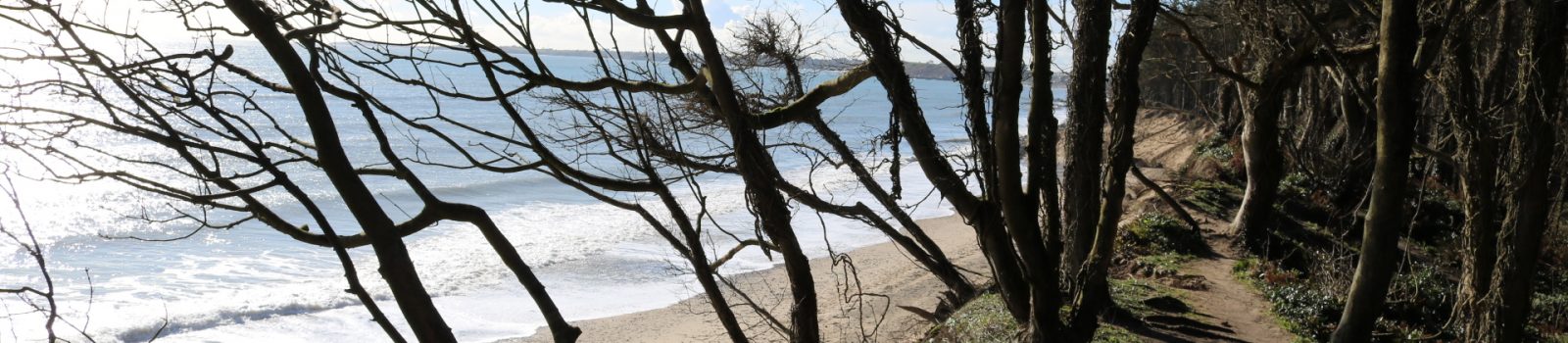 Tara Glen Beach, Gorey