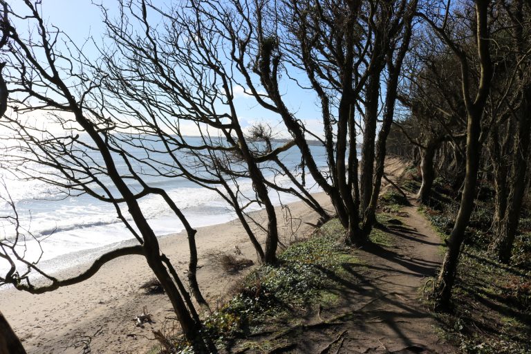 Tara Glen Beach, Gorey