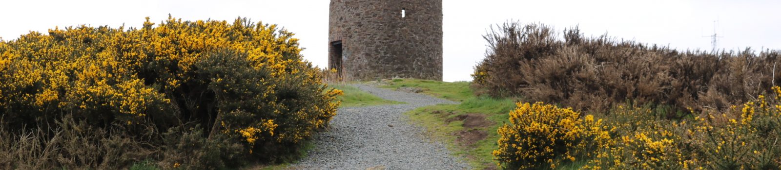 Vinegar Hill, Enniscorthy