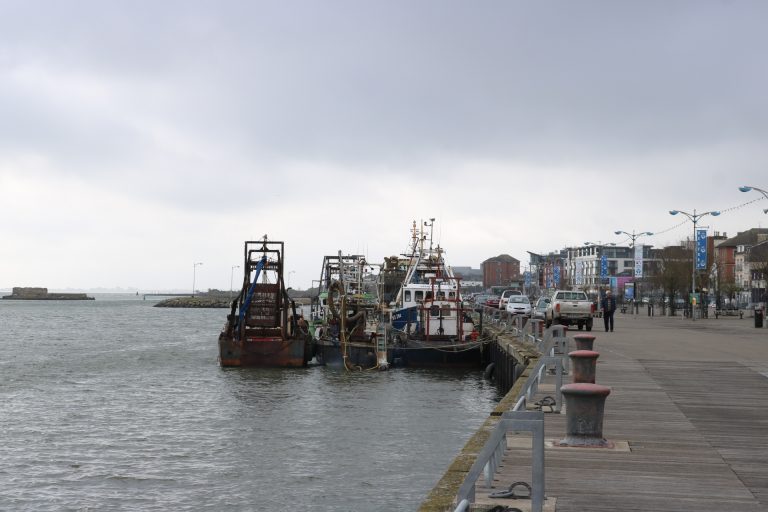 Wexford Harbour